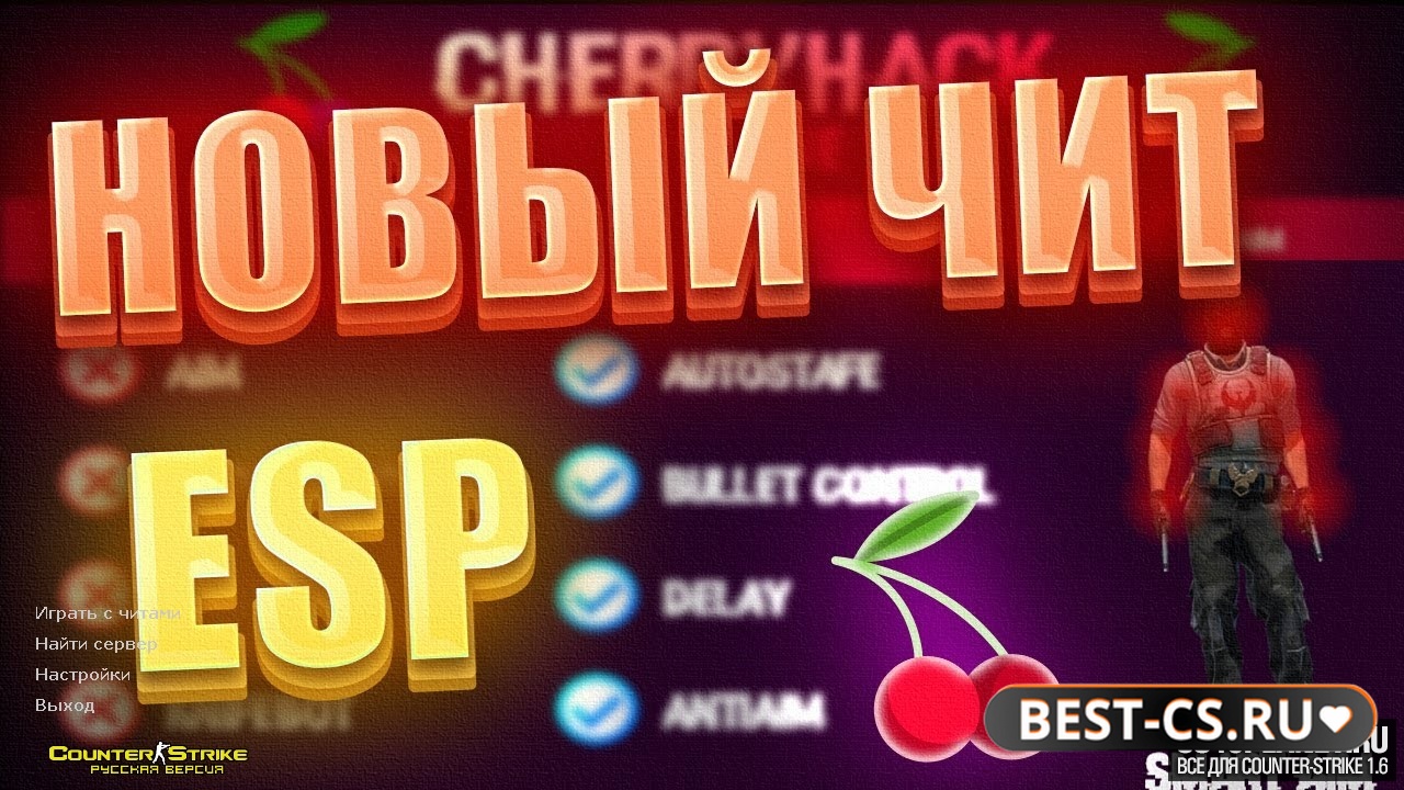 Скриншот CS 1.6 + ESP