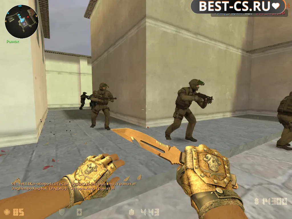 Скриншот 5 CS 1.6 BloodHound Gloves | Bronzed