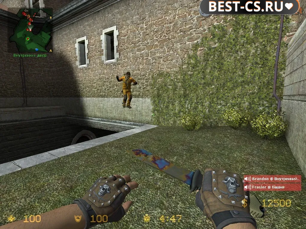 Скриншот 3 CSS v34 Bloodhound | Bronzed
