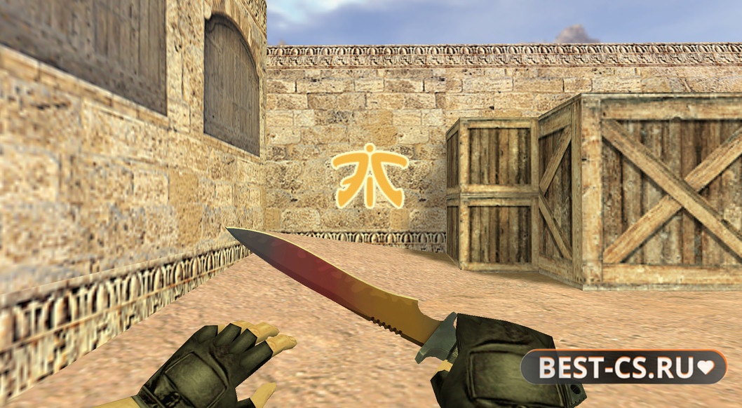 Спрей «Fnatic Logo»