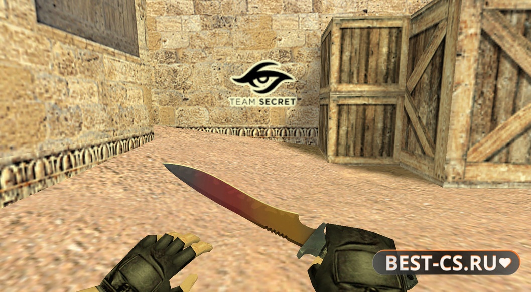 Спрей логотипа «Team Secret»